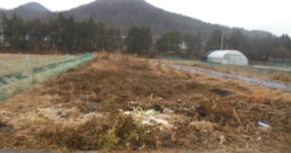 충청북도 충주시 대소원면 만정리 OOOOO 답 경매 물건 이미지