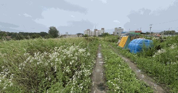 충청남도 서산시 부석면 창리 290-6  미지정 경매 물건 이미지