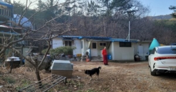 경상북도 포항시 북구 기북면 관천리 OOOOO 답 경매 물건 이미지