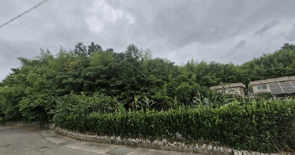 전라남도 보성군 조성면 동촌리 330-7  미지정 경매 물건 이미지