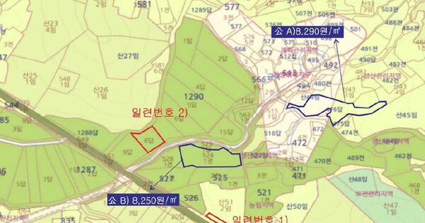 전라남도 함평군 손불면 학산리 OOOOOO 답 경매 물건 이미지