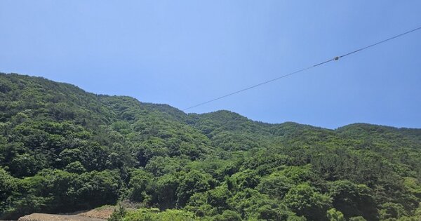 경상남도 고성군 대가면 양화리 OOOO 임야 경매 물건 이미지