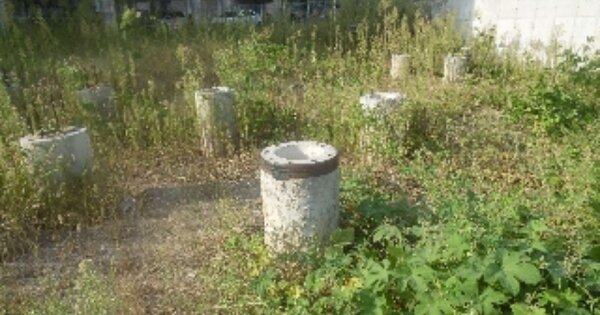 충청남도 서산시 대산읍 대로리 OOOOOOO O OOO 임야 경매 물건 이미지