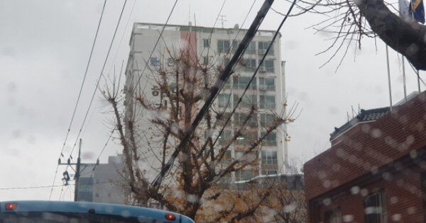부산 사하구 괴정동 OOOOOOO OOOOOO OOOOOOOOOOOO 아파트 경매 물건 이미지