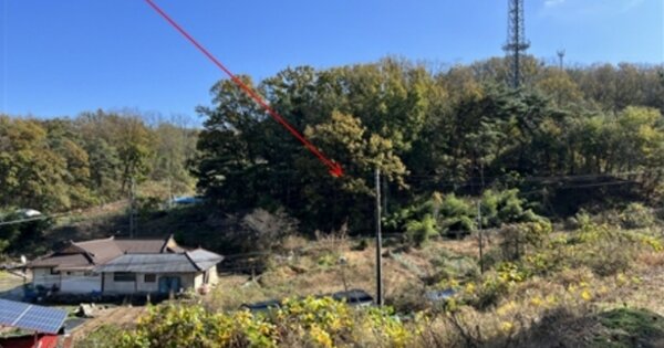 충청남도 아산시 장존동 OOOOO 전 경매 물건 이미지