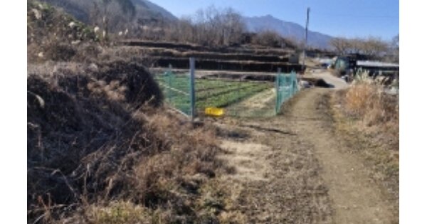 경상남도 고성군 거류면 신용리 OOO O OOO 답 경매 물건 이미지