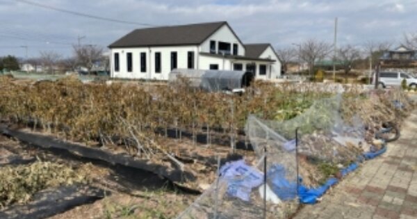 경상남도 사천시 용현면 송지리 OOOO 대지 경매 물건 이미지