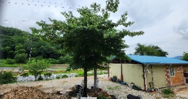 충청북도 제천시 송학면 포전리 OOO O OOO 전 경매 물건 이미지