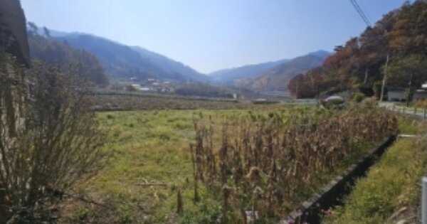 충청북도 단양군 대강면 올산리 OOOOO O OOO 답 경매 물건 이미지