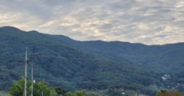 울산광역시 울주군 웅촌면 은현리 OOOOOO 임야 경매 물건 이미지