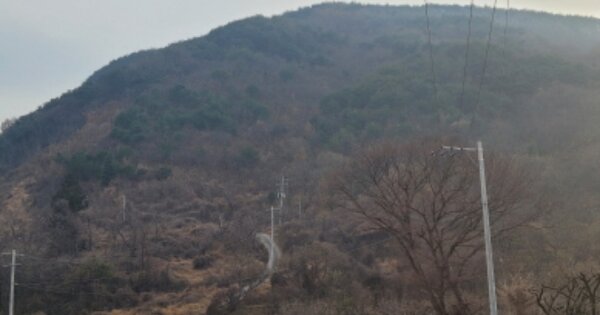 경상북도 청도군 청도읍 원리 OOOO 임야 경매 물건 이미지