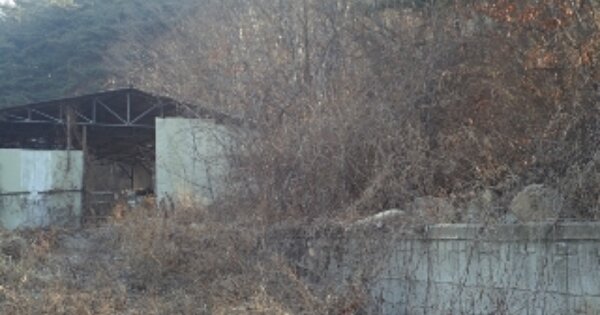 경상남도 창녕군 계성면 사리 OOOOO 대지 경매 물건 이미지