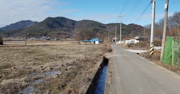 경상북도 의성군 안사면 안사리 OOOOO O OOO 답 경매 물건 이미지