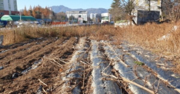 경상남도 거창군 거창읍 가지리 OOOOO 전 경매 물건 이미지
