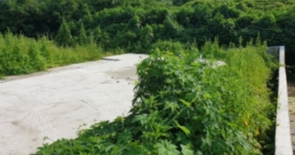 경상북도 경주시 충효동 OOO 전 경매 물건 이미지