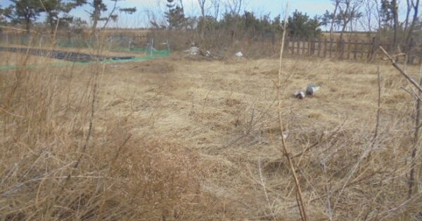 강원특별자치도 고성군 토성면 용촌리 OOO 전 경매 물건 이미지