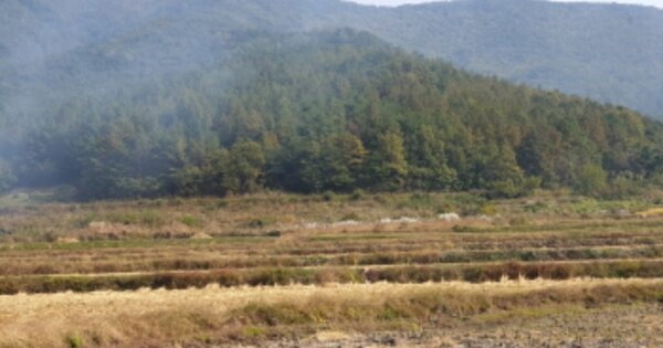 경상북도 경주시 건천읍 대곡리 OOOOO 답 경매 물건 이미지