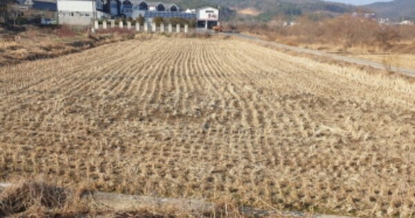 경상북도 경주시 천군동 OOO 답 경매 물건 이미지