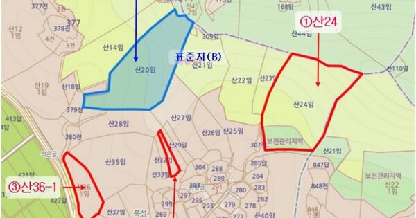 경상북도 김천시 감문면 성촌리 OOO 임야 경매 물건 이미지