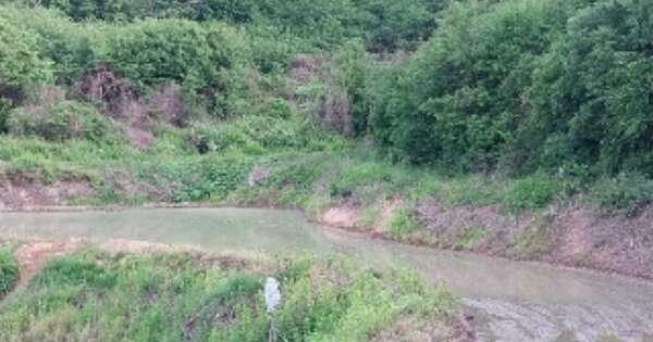 충청남도 공주시 탄천면 가척리 OOO 전 경매 물건 이미지