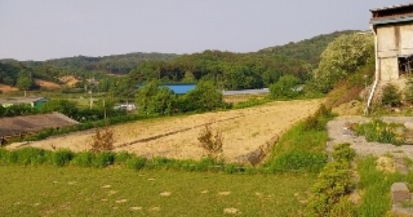 충청남도 공주시 탄천면 가척리 OOO 전 경매 물건 이미지