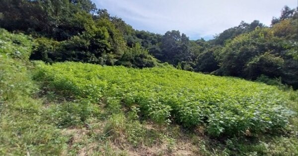 충청남도 공주시 계룡면 구왕리 OOOOO O OOO 전 경매 물건 이미지