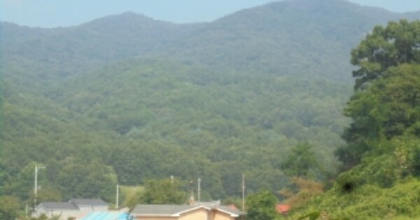 충청남도 계룡시 엄사면 도곡리 OOOOO 임야 경매 물건 이미지