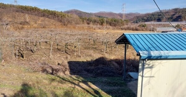 충청남도 공주시 이인면 신영리 OOOOO 전 경매 물건 이미지