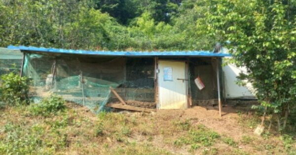 경상남도 거제시 동부면 구천리 OOOOO 전 경매 물건 이미지