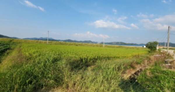 전라북도 익산시 왕궁면 광암리 OOOO 답 경매 물건 이미지