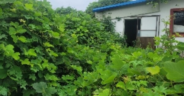 경남 통영시 용남면 동달리 OOO 단독주택 경매 물건 이미지