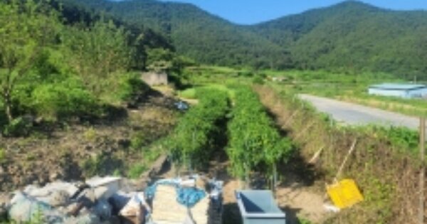 경상남도 통영시 사량면 읍덕리 OOOOO 답 경매 물건 이미지