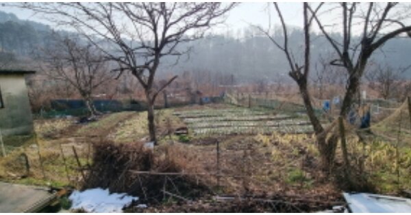 전라북도 군산시 성산면 성덕리 OOO 전 경매 물건 이미지