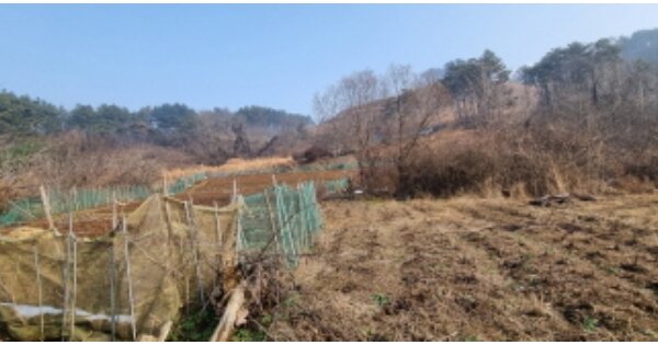 전라북도 군산시 성산면 성덕리 OOOOO 전 경매 물건 이미지