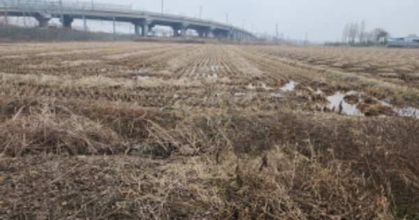 전라북도 익산시 목천동 OOOO 답 경매 물건 이미지