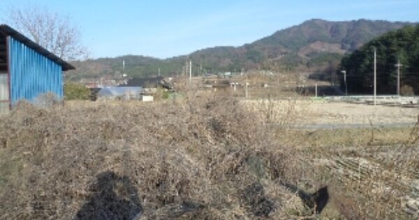 전라북도 무주군 안성면 공진리 OOOOOO 답 경매 물건 이미지