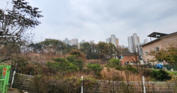 경기도 김포시 양촌읍 양곡리 OOOOO 임야 경매 물건 이미지