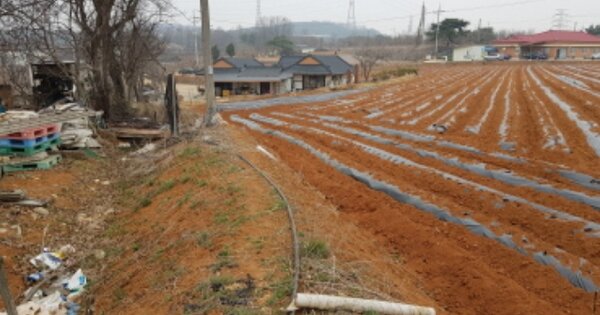 충청남도 당진시 송악읍 부곡리 OOOOO O OOO 전 경매 물건 이미지