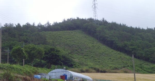 전라남도 해남군 화원면 인지리 OOO O OOO 임야 경매 물건 이미지