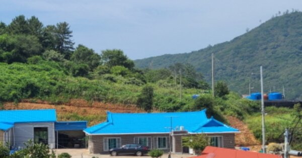 전라남도 완도군 노화읍 방서리 OOOOO 전 경매 물건 이미지