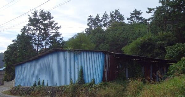 전라남도 완도군 고금면 세동리 OOO 전 경매 물건 이미지