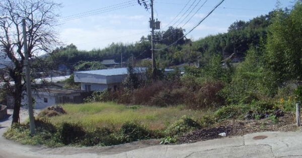 전라남도 해남군 화산면 연정리 OOO O OOO 대지 경매 물건 이미지