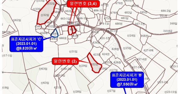 전라남도 함평군 신광면 백운리 OOO 임야 경매 물건 이미지