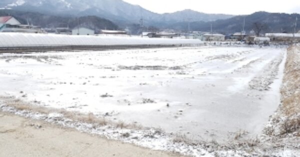 강원특별자치도 양구군 양구읍 학조리 OOO 답 경매 물건 이미지