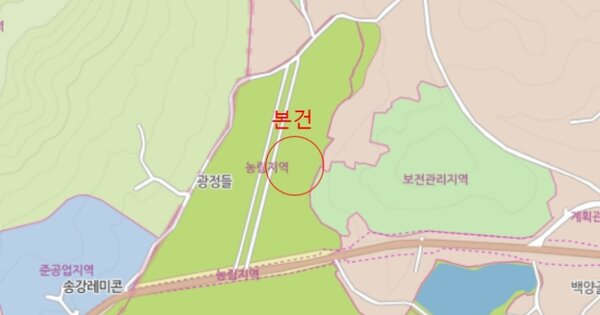 전라남도 신안군 지도읍 광정리 OOOOOO 답 경매 물건 이미지
