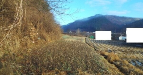 강원특별자치도 홍천군 북방면 성동리 OOO 전 경매 물건 이미지