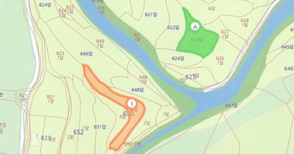 전라남도 영암군 금정면 청용리 OOOOO 답 경매 물건 이미지