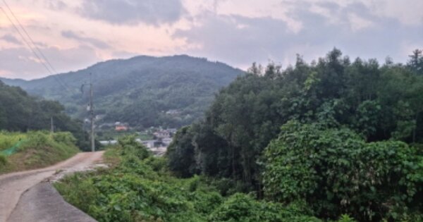 전라남도 순천시 상사면 비촌리 OOO 답 경매 물건 이미지