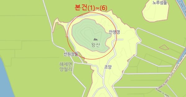 전라남도 무안군 해제면 양월리 OOOOO O OOO 임야 경매 물건 이미지