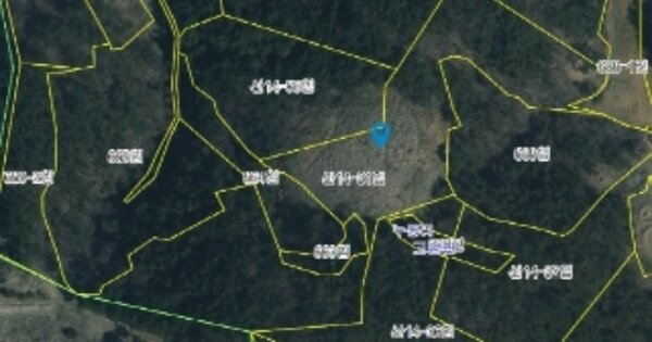 충청남도 태안군 고남면 누동리 OOOOOO 임야 경매 물건 이미지